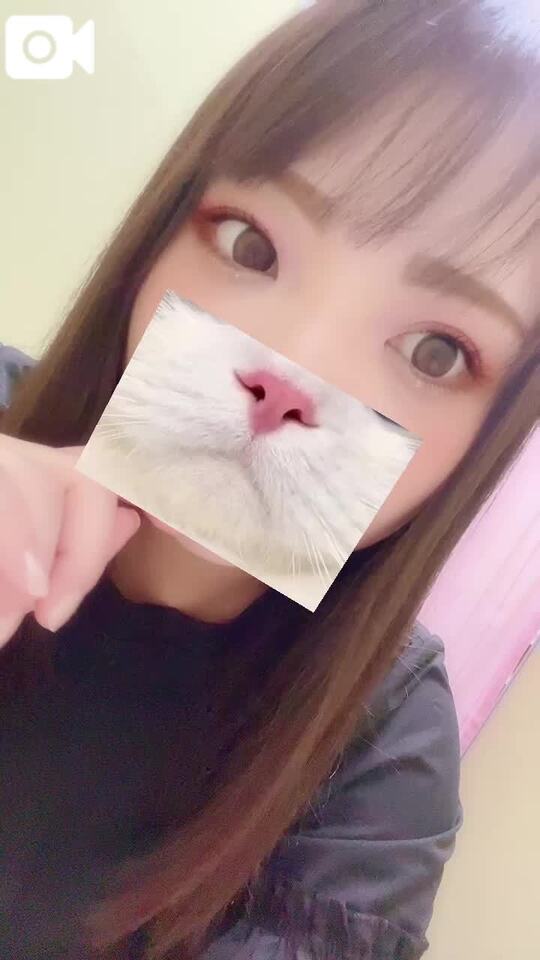 本日限定🎁｜写メ日記｜ゆずは｜錦糸町・小岩・葛西 人妻デリヘル One More 奥様 錦糸町店