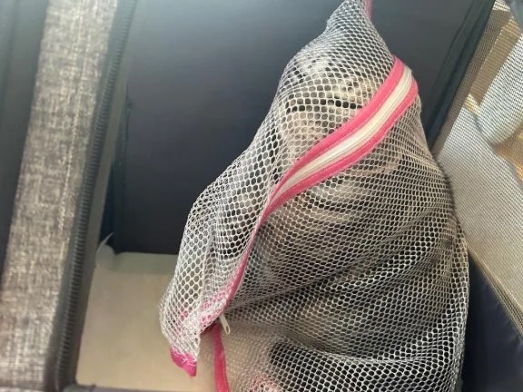 🤍：結果｜写メ日記｜ゆいな｜錦糸町・小岩・葛西 人妻デリヘル One More 奥様 錦糸町店