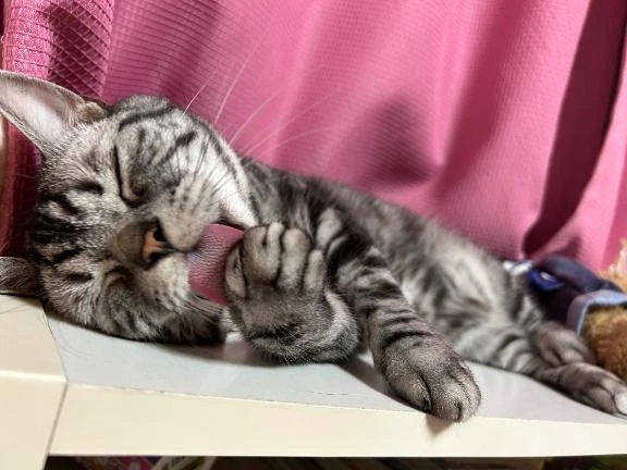 🤍：あとちょっと🧸💭