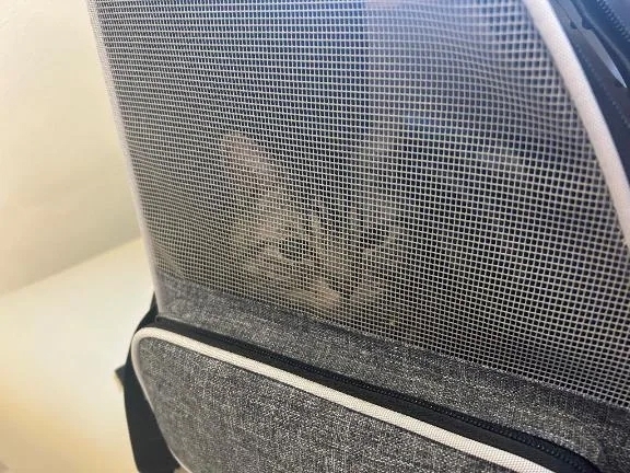 🤍：一大事❕｜写メ日記｜ゆいな｜錦糸町・小岩・葛西 人妻デリヘル One More 奥様 錦糸町店