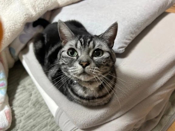 🤍：少し早く🧸💭｜写メ日記｜ゆいな｜錦糸町・小岩・葛西 人妻デリヘル One More 奥様 錦糸町店