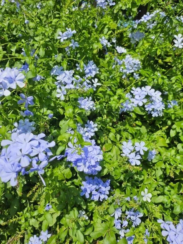 【御礼日記】14:00~｜写メ日記｜えれな｜錦糸町・小岩・葛西 人妻デリヘル One More 奥様 錦糸町店