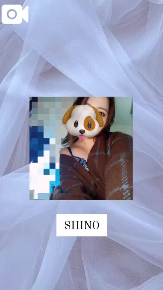🎀今なら即案内可能です♡｜写メ日記｜しの｜錦糸町・小岩・葛西 人妻デリヘル One More 奥様 錦糸町店