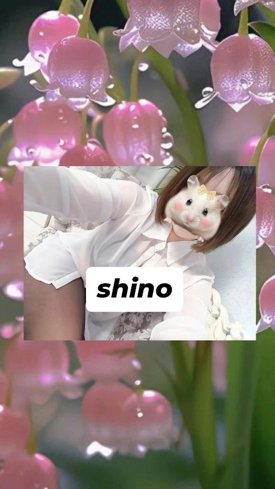 お仕事お疲れ様です🌹｜写メ日記｜しの｜錦糸町・小岩・葛西 人妻デリヘル One More 奥様 錦糸町店