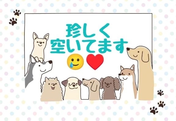 余裕たっぷり♡ 包み込む60分、急いでね！｜写メ日記｜あずさ｜錦糸町・小岩・葛西 人妻デリヘル One More 奥様 錦糸町店