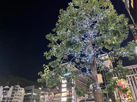 錦糸町からこんばんは｜写メ日記｜かすみ｜錦糸町・小岩・葛西 人妻デリヘル One More 奥様 錦糸町店