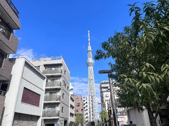 錦糸町からこんにちは