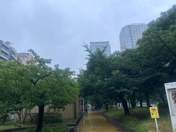 錦糸町以外からこんにちは｜写メ日記｜かすみ｜錦糸町・小岩・葛西 人妻デリヘル One More 奥様 錦糸町店
