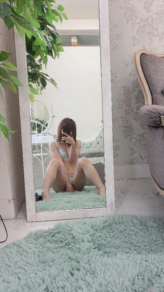 20時から🐶