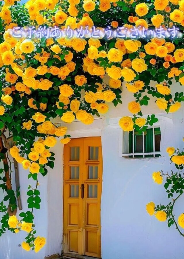 感謝♡｜写メ日記｜しずか｜錦糸町・小岩・葛西 人妻デリヘル One More 奥様 錦糸町店