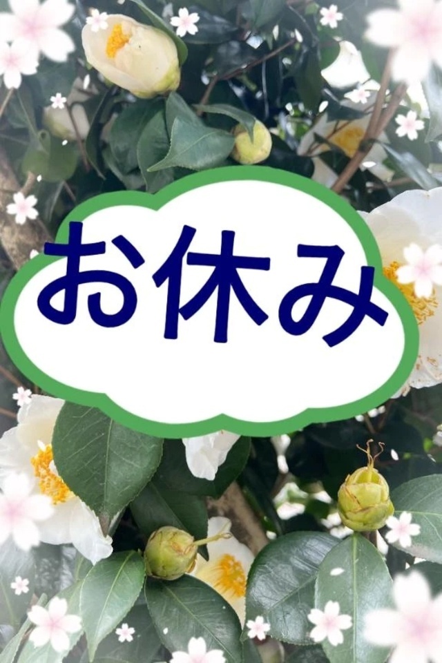 お休みしてます｜写メ日記｜しずか｜錦糸町・小岩・葛西 人妻デリヘル One More 奥様 錦糸町店