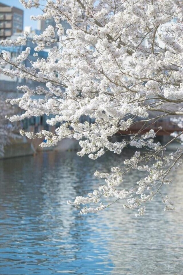 Sさま♡｜写メ日記｜のぞみ｜錦糸町・小岩・葛西 人妻デリヘル One More 奥様 錦糸町店