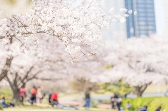 Yさま♡｜写メ日記｜のぞみ｜錦糸町・小岩・葛西 人妻デリヘル One More 奥様 錦糸町店