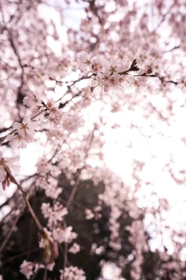 Yさま✖️2♡♡｜写メ日記｜のぞみ｜錦糸町・小岩・葛西 人妻デリヘル One More 奥様 錦糸町店