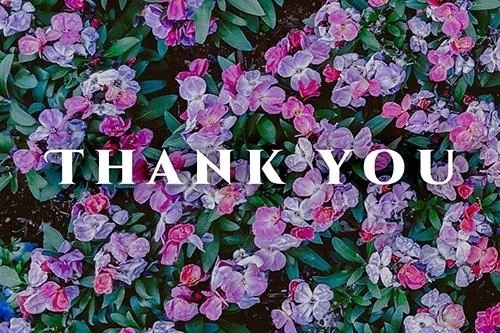 出勤🌸｜写メ日記｜さやか｜錦糸町・小岩・葛西 人妻デリヘル One More 奥様 錦糸町店