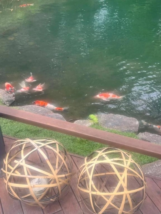 お礼🌸｜写メ日記｜さやか｜錦糸町・小岩・葛西 人妻デリヘル One More 奥様 錦糸町店