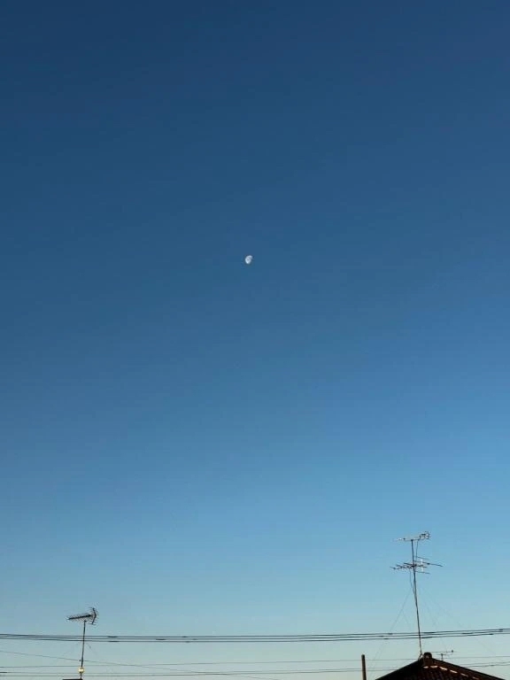 好きな物🌙