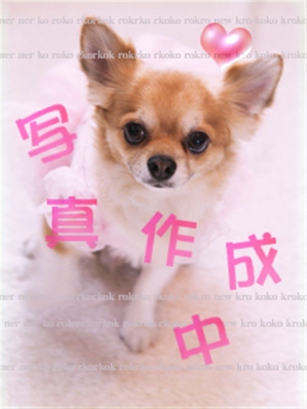 Photo4