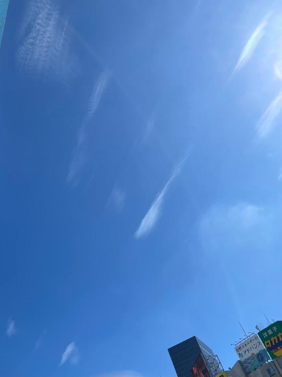 朝の光に包まれて｜写メ日記｜さら｜池袋 人妻デリヘル 人妻風俗　みせすはーと