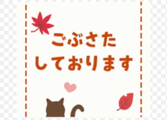 ご無沙汰しております｜写メ日記｜りほ｜池袋 人妻デリヘル 人妻風俗　みせすはーと