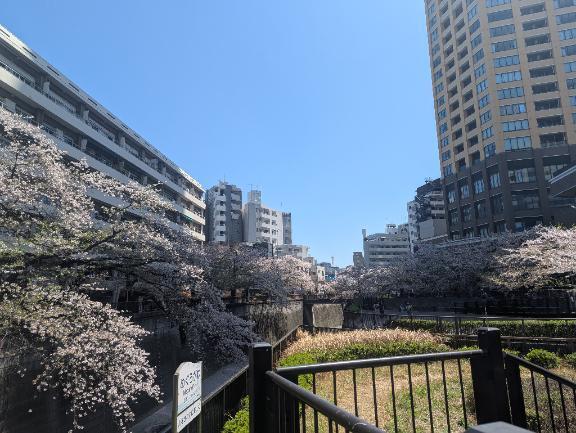 大好きな季節｜写メ日記｜ももな｜池袋 人妻デリヘル 人妻風俗　みせすはーと