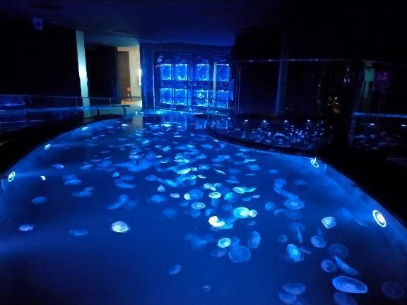 10月の予定｜写メ日記｜ももな｜池袋 人妻デリヘル 人妻風俗　みせすはーと