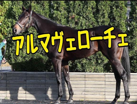 桜花賞｜写メ日記｜ひなた｜池袋 人妻デリヘル 人妻風俗　みせすはーと