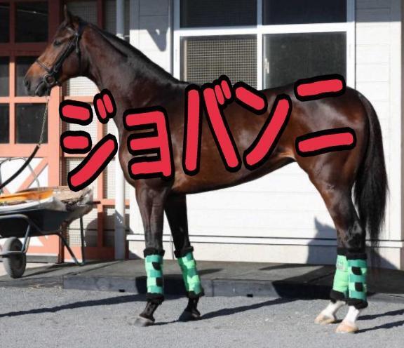 皐月賞｜写メ日記｜ひなた｜池袋 人妻デリヘル 人妻風俗　みせすはーと
