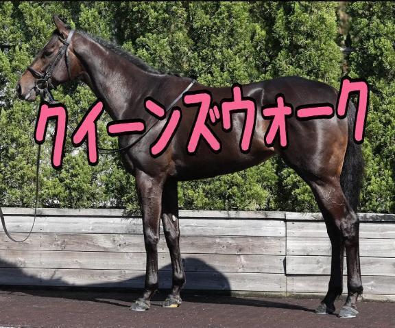 ヴィクトリアマイル｜写メ日記｜ひなた｜池袋 人妻デリヘル 人妻風俗　みせすはーと