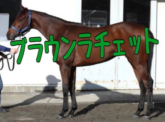 オークス｜写メ日記｜ひなた｜池袋 人妻デリヘル 人妻風俗　みせすはーと