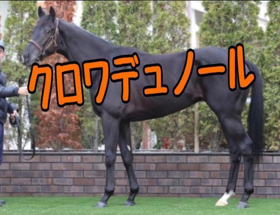 日本ダービー｜写メ日記｜ひなた｜池袋 人妻デリヘル 人妻風俗　みせすはーと