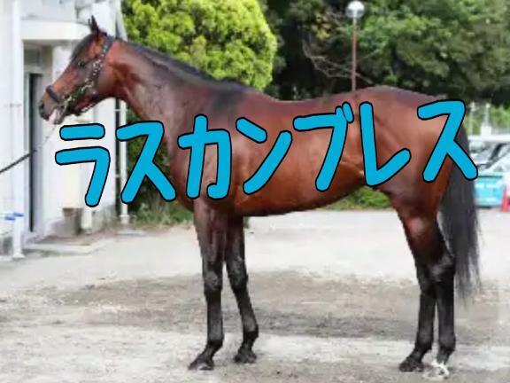 小倉記念｜写メ日記｜ひなた｜池袋 人妻デリヘル 人妻風俗　みせすはーと