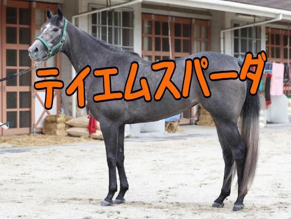 アイビスＳD｜写メ日記｜ひなた｜池袋 人妻デリヘル 人妻風俗　みせすはーと