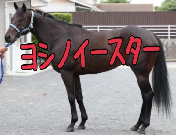 セントウルＳ｜写メ日記｜ひなた｜池袋 人妻デリヘル 人妻風俗　みせすはーと