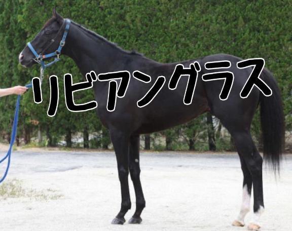 オールカマー｜写メ日記｜ひなた｜池袋 人妻デリヘル 人妻風俗　みせすはーと