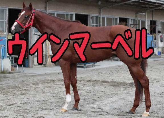 スワンＳ｜写メ日記｜ひなた｜池袋 人妻デリヘル 人妻風俗　みせすはーと