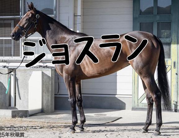 秋華賞｜写メ日記｜ひなた｜池袋 人妻デリヘル 人妻風俗　みせすはーと