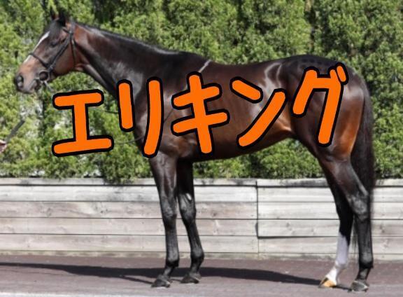 菊花賞｜写メ日記｜ひなた｜池袋 人妻デリヘル 人妻風俗　みせすはーと