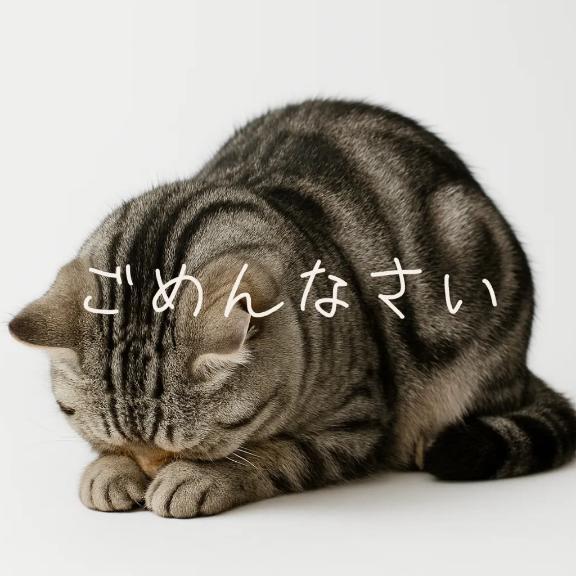 ごめんなさい｜写メ日記｜るりか｜池袋 人妻デリヘル 人妻風俗　みせすはーと