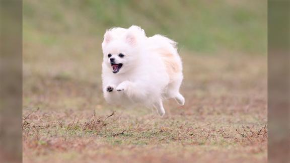 お疲れ様です！｜写メ日記｜こころ｜池袋 人妻デリヘル 人妻風俗　みせすはーと