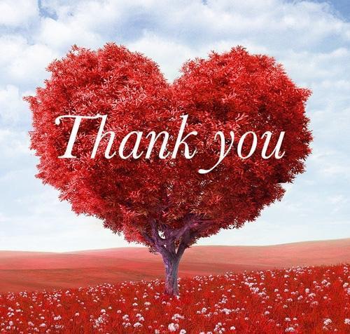 ありがとう｜写メ日記｜ゆか｜池袋 人妻デリヘル 人妻風俗　みせすはーと