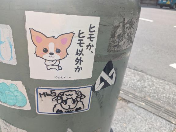 ヒモか、ヒモ以外か。