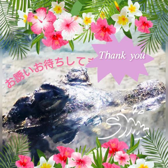 ︎(  )｜写メ日記｜りあ｜池袋 人妻デリヘル 人妻風俗　みせすはーと