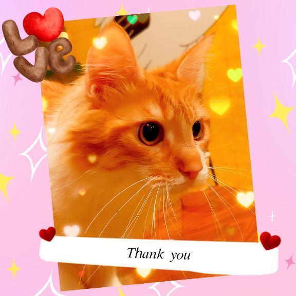 おはよーございます( *´ `)