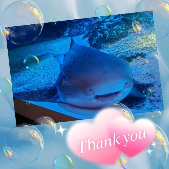 朝は大忙しヾ(･ω･`;)ﾉ｜写メ日記｜りあ｜池袋 人妻デリヘル 人妻風俗　みせすはーと