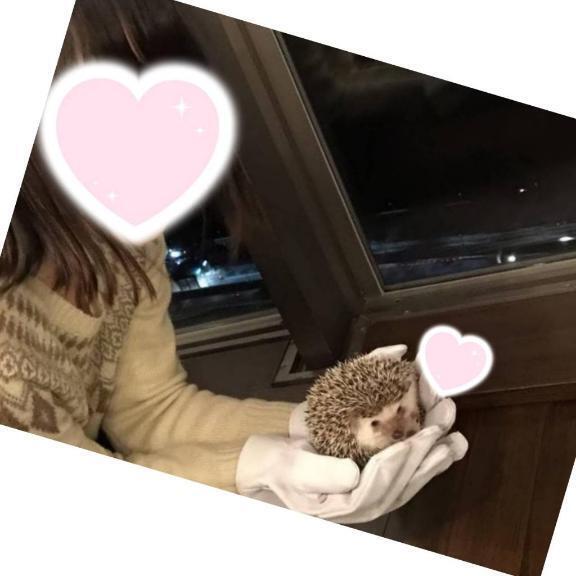 ありがとう( '')｜写メ日記｜みなこ｜錦糸町・小岩・葛西 人妻デリヘル 小岩人妻花壇