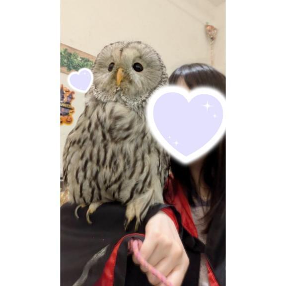 ありがとう( '')｜写メ日記｜みなこ｜錦糸町・小岩・葛西 人妻デリヘル 小岩人妻花壇