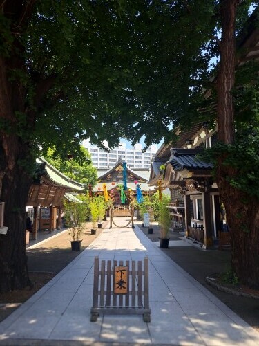 こんにちは～☀️｜写メ日記｜まき｜池袋 人妻デリヘル 池袋で熟女の風俗　マダムいやーん
