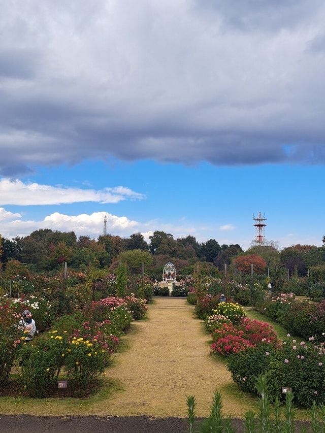 日差したっぶり｜写メ日記｜まき｜池袋 人妻デリヘル 池袋で熟女の風俗　マダムいやーん