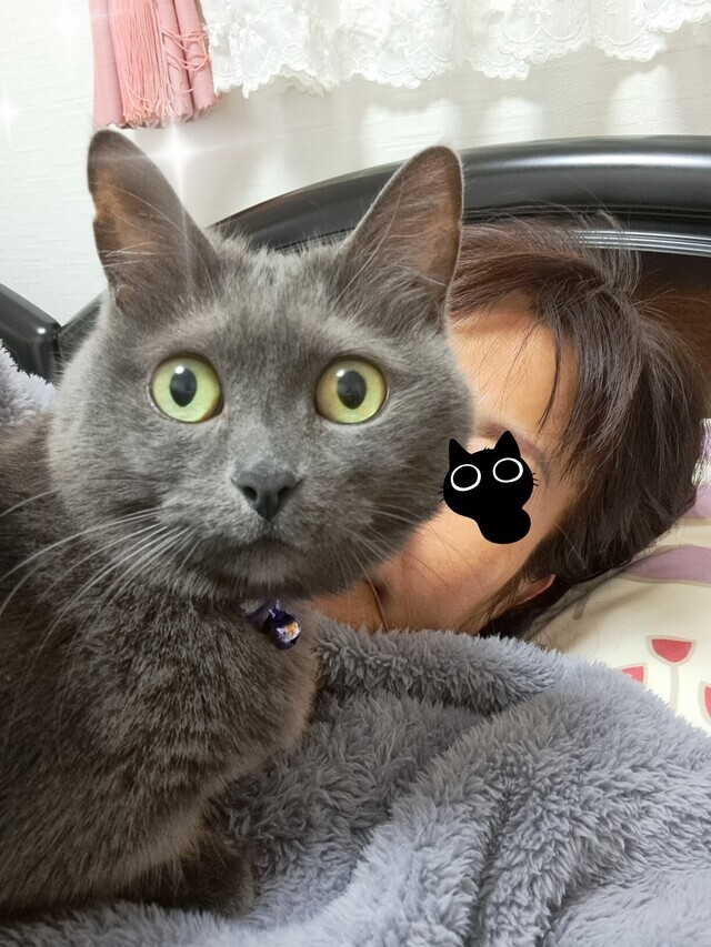 三連休は晴天｜写メ日記｜まき｜池袋 人妻デリヘル 池袋で熟女の風俗　マダムいやーん